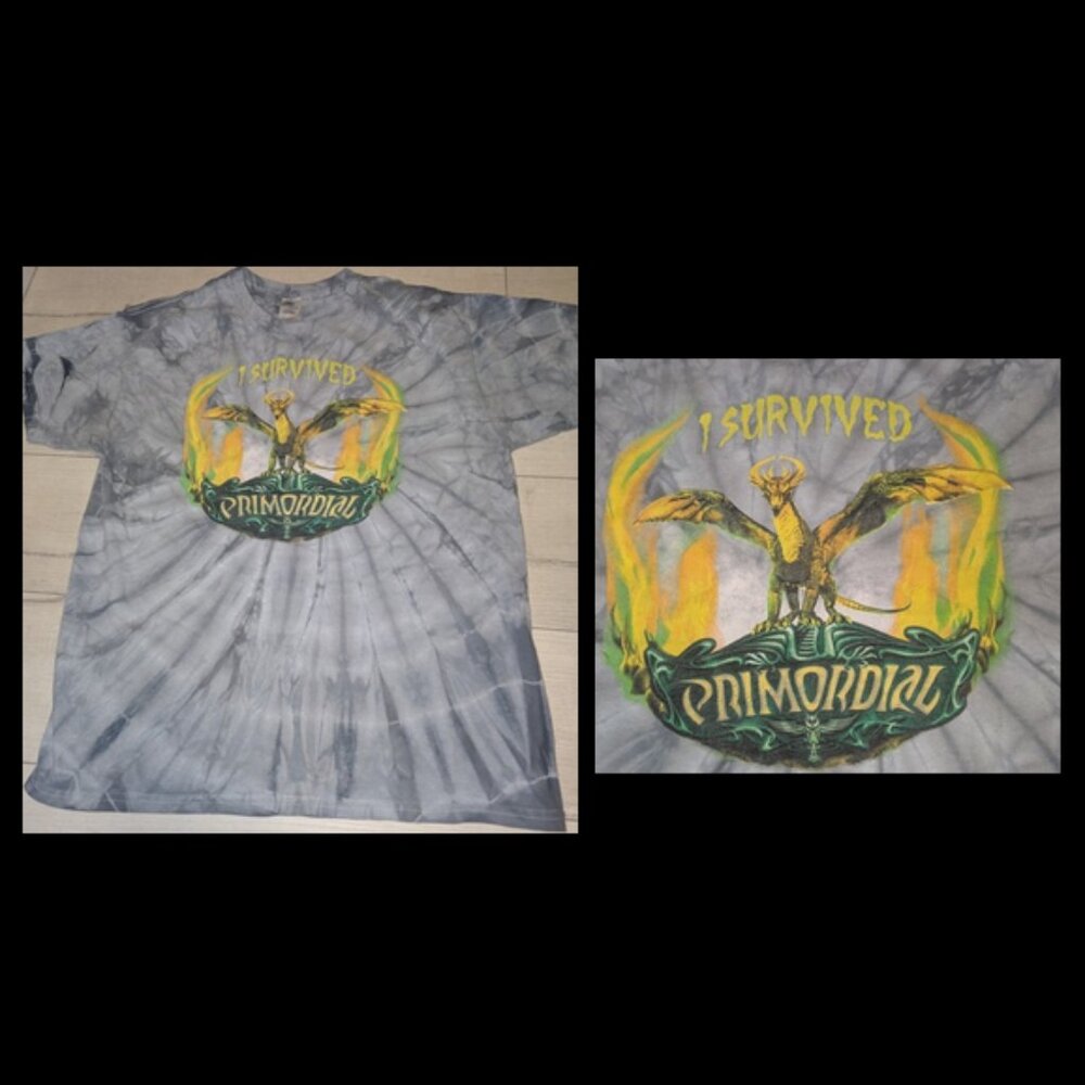 I Survived Primordial - Dragon - Tie Dye T Shirt Mens Sz L
